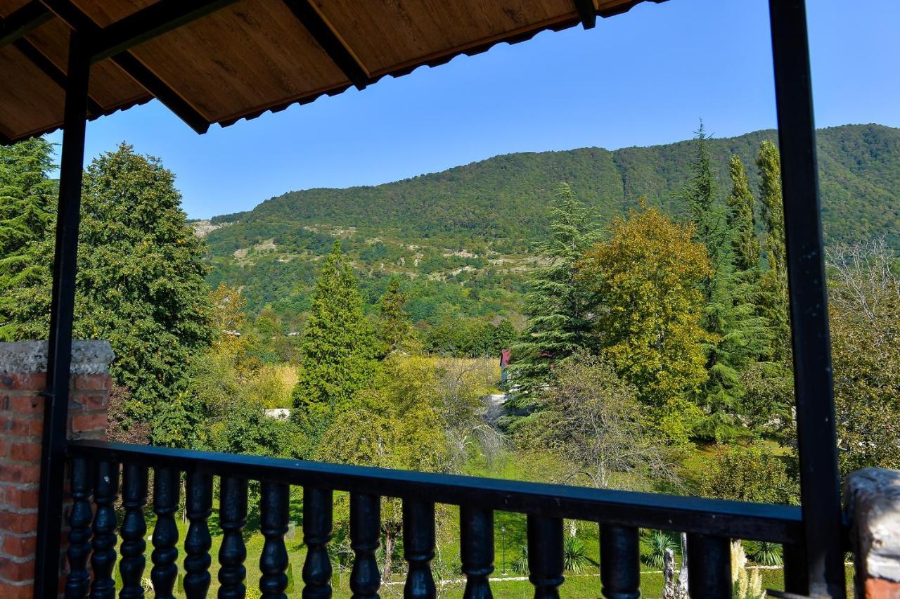 Chateau Chikovani Hotel Gordi Buitenkant foto