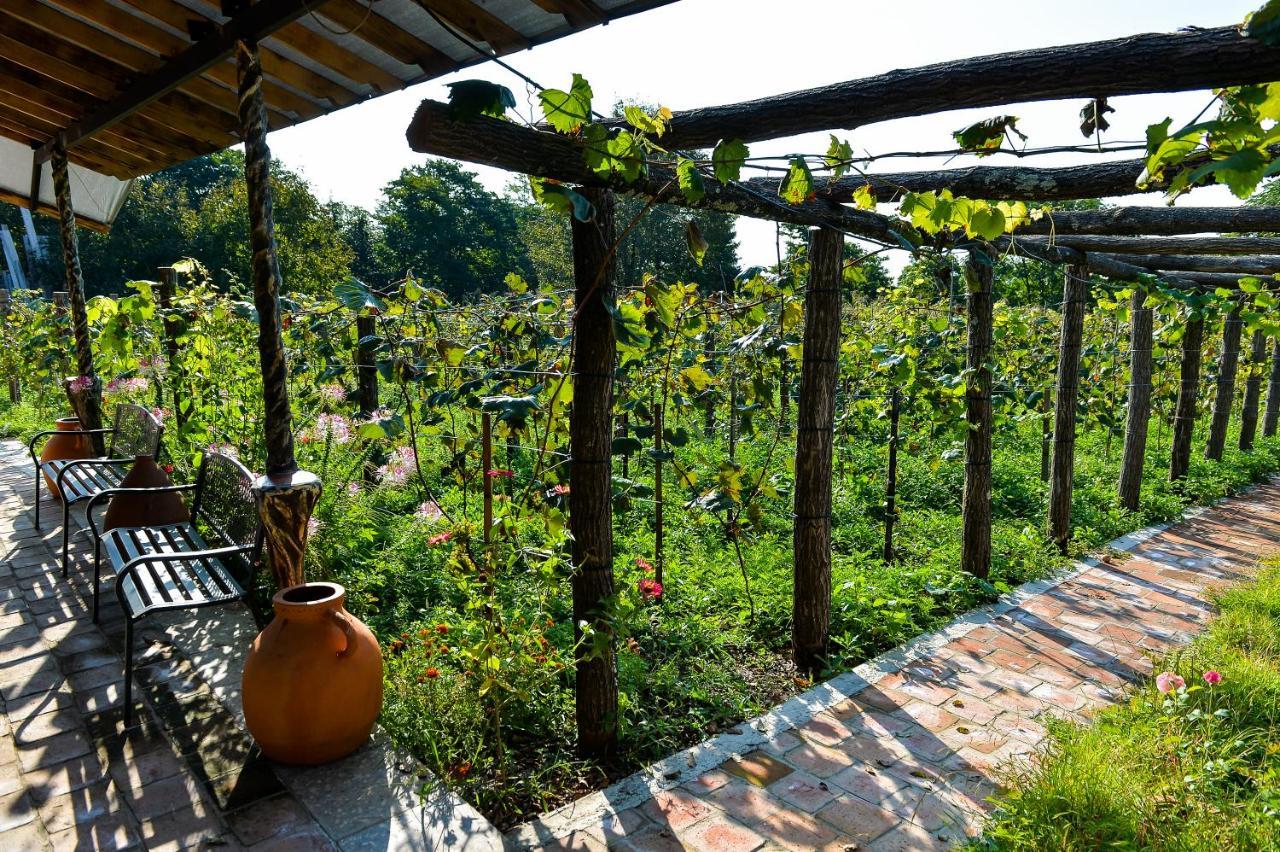 Chateau Chikovani Hotel Gordi Buitenkant foto