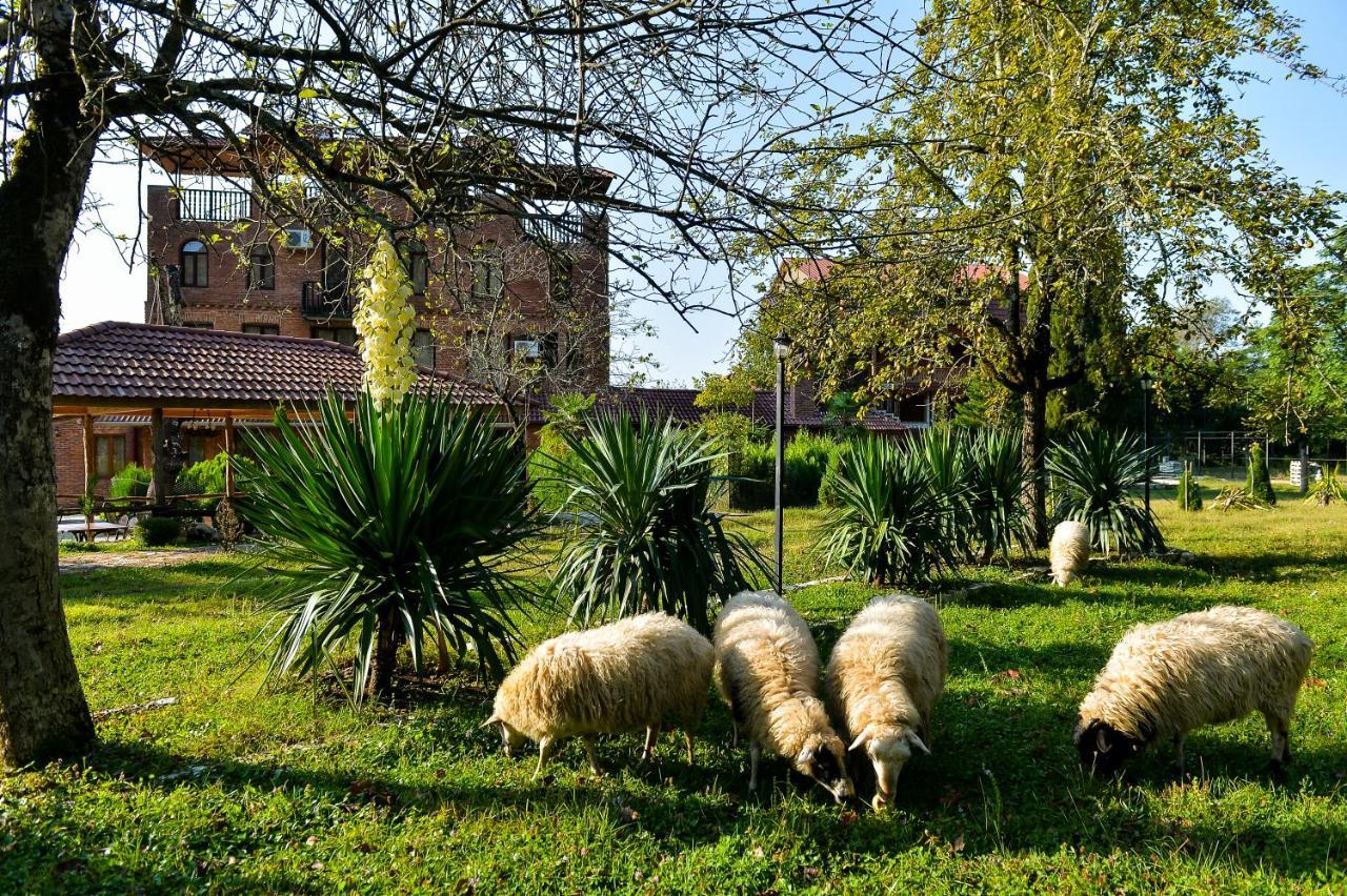 Chateau Chikovani Hotel Gordi Buitenkant foto