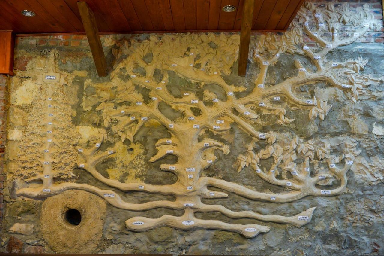 Chateau Chikovani Hotel Gordi Buitenkant foto