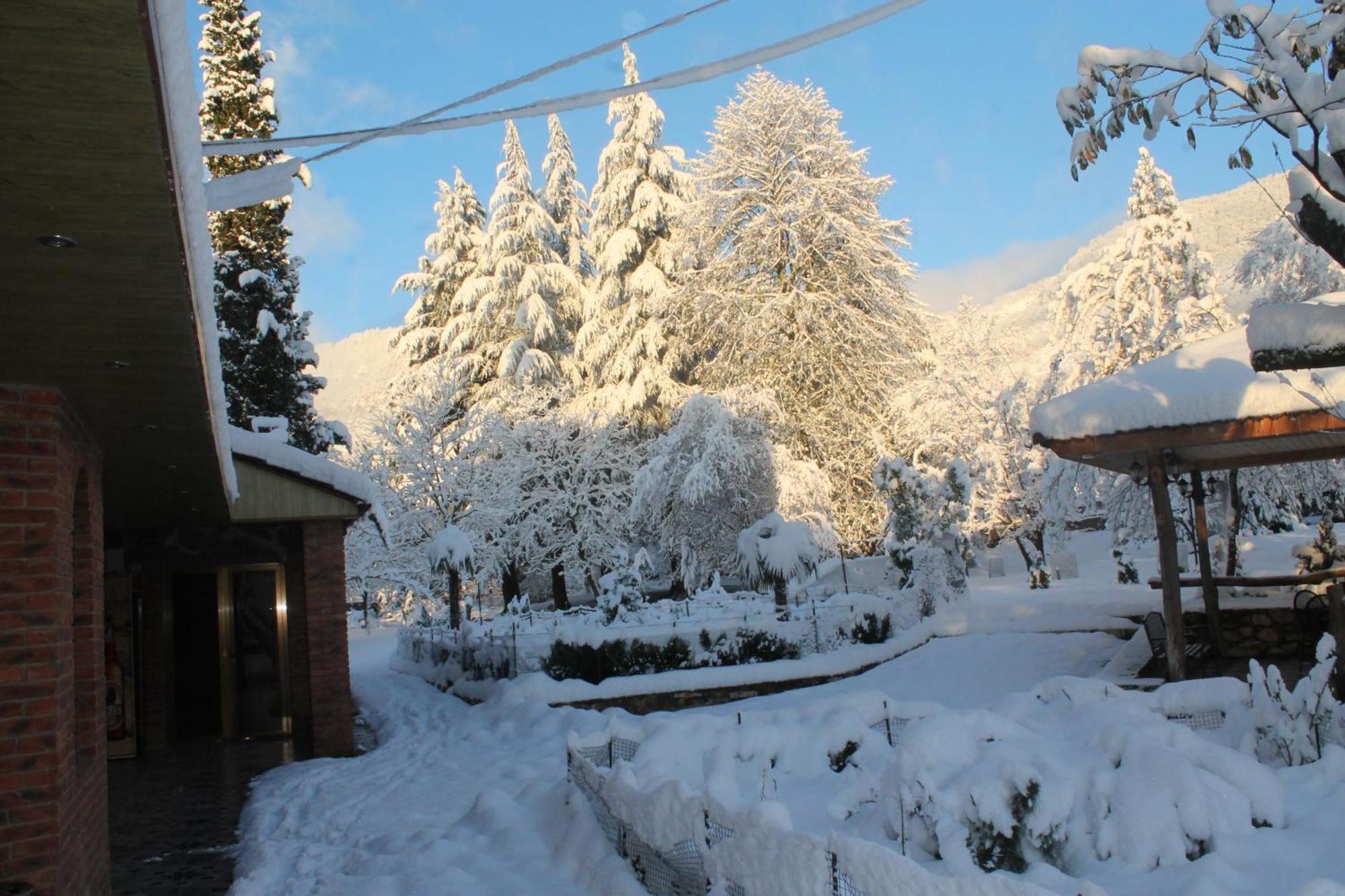 Chateau Chikovani Hotel Gordi Buitenkant foto