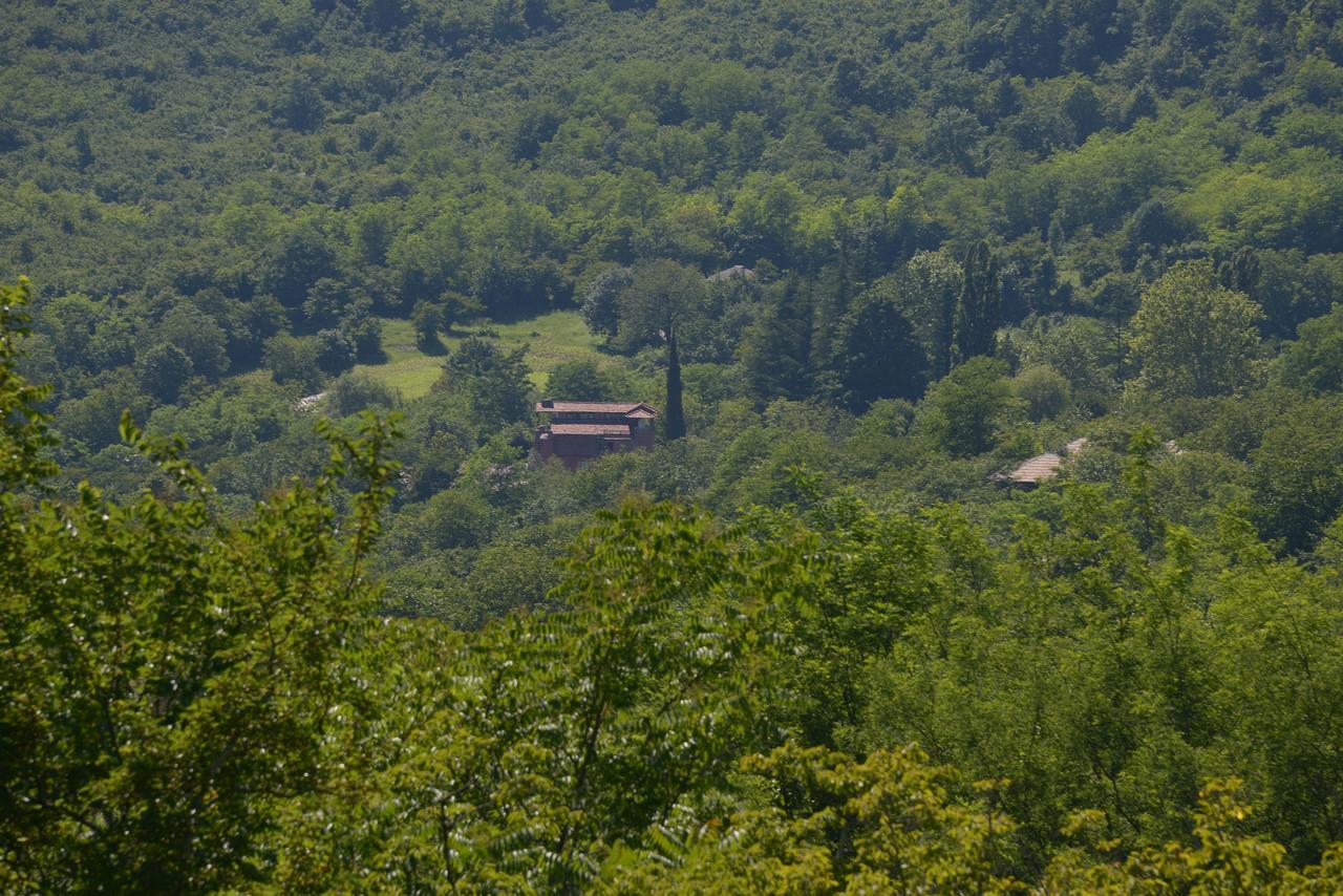 Chateau Chikovani Hotel Gordi Buitenkant foto