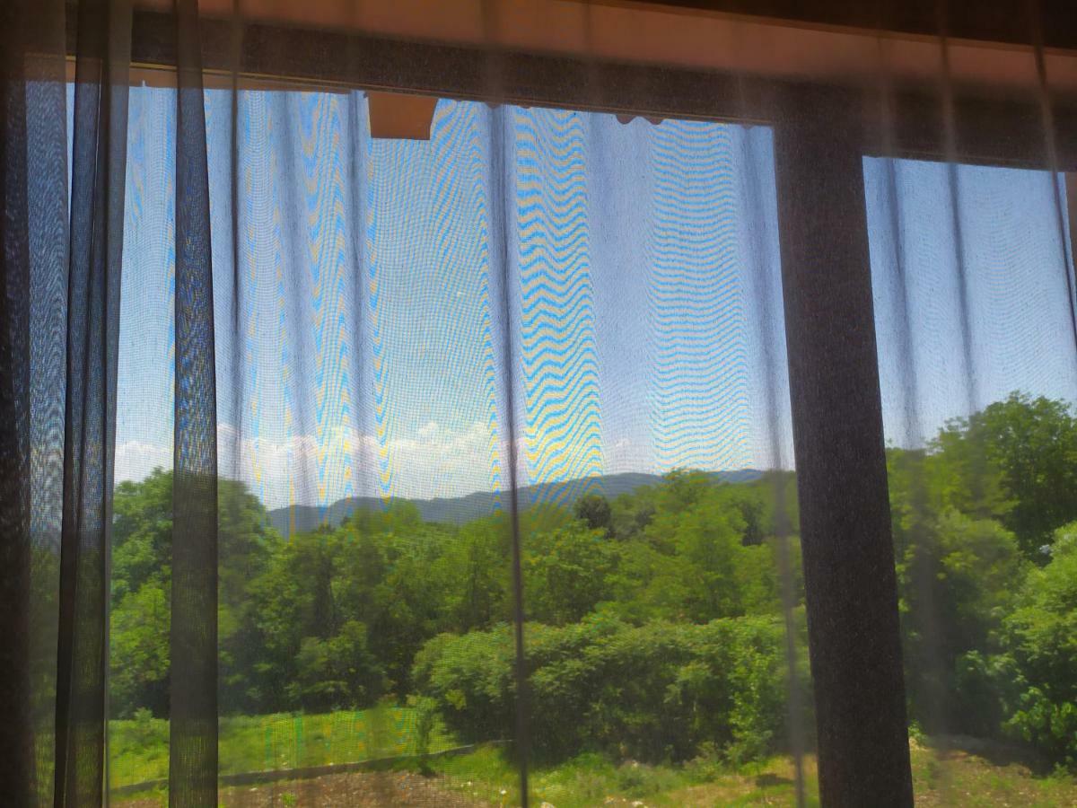 Chateau Chikovani Hotel Gordi Buitenkant foto