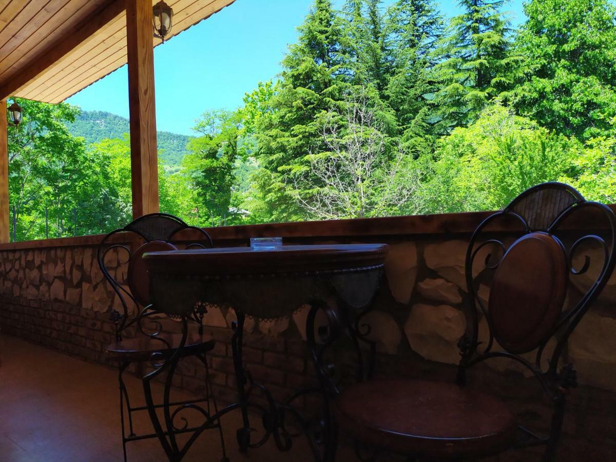 Chateau Chikovani Hotel Gordi Buitenkant foto